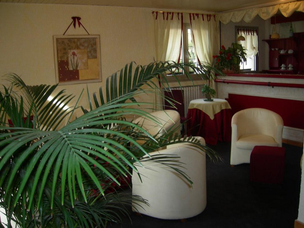 Hotel Bel Azur Six-Fours-les-Plages Zewnętrze zdjęcie